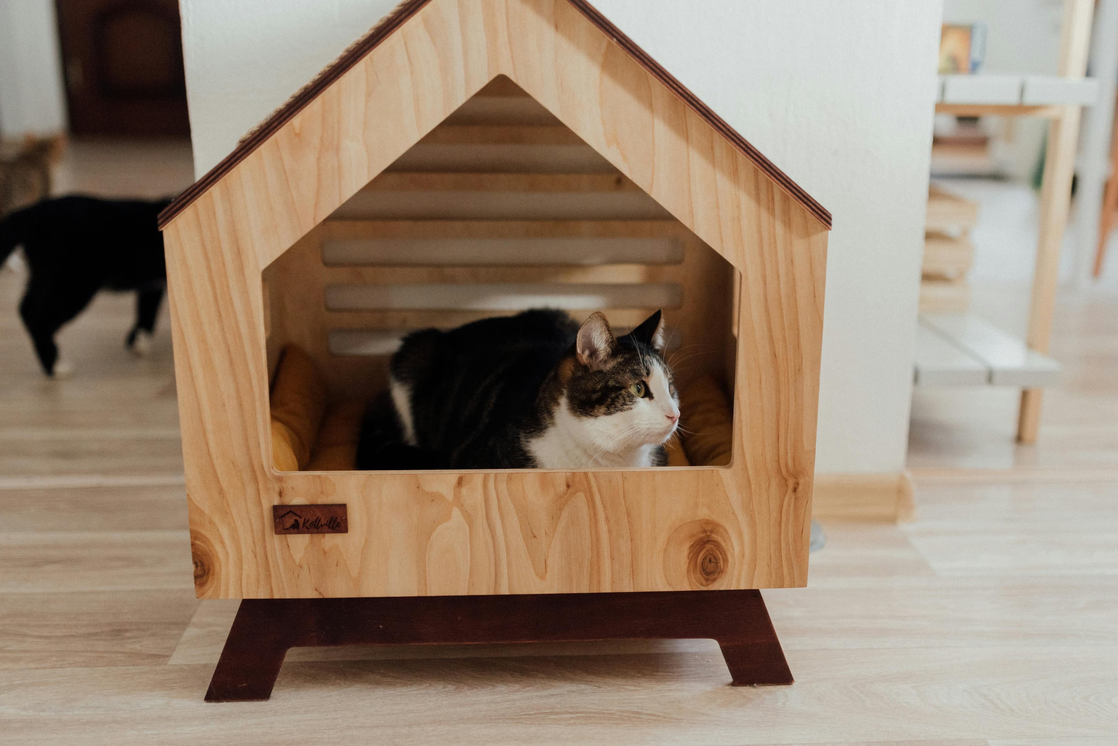 Cat in little wooden house in a softly lit, plant-filled home